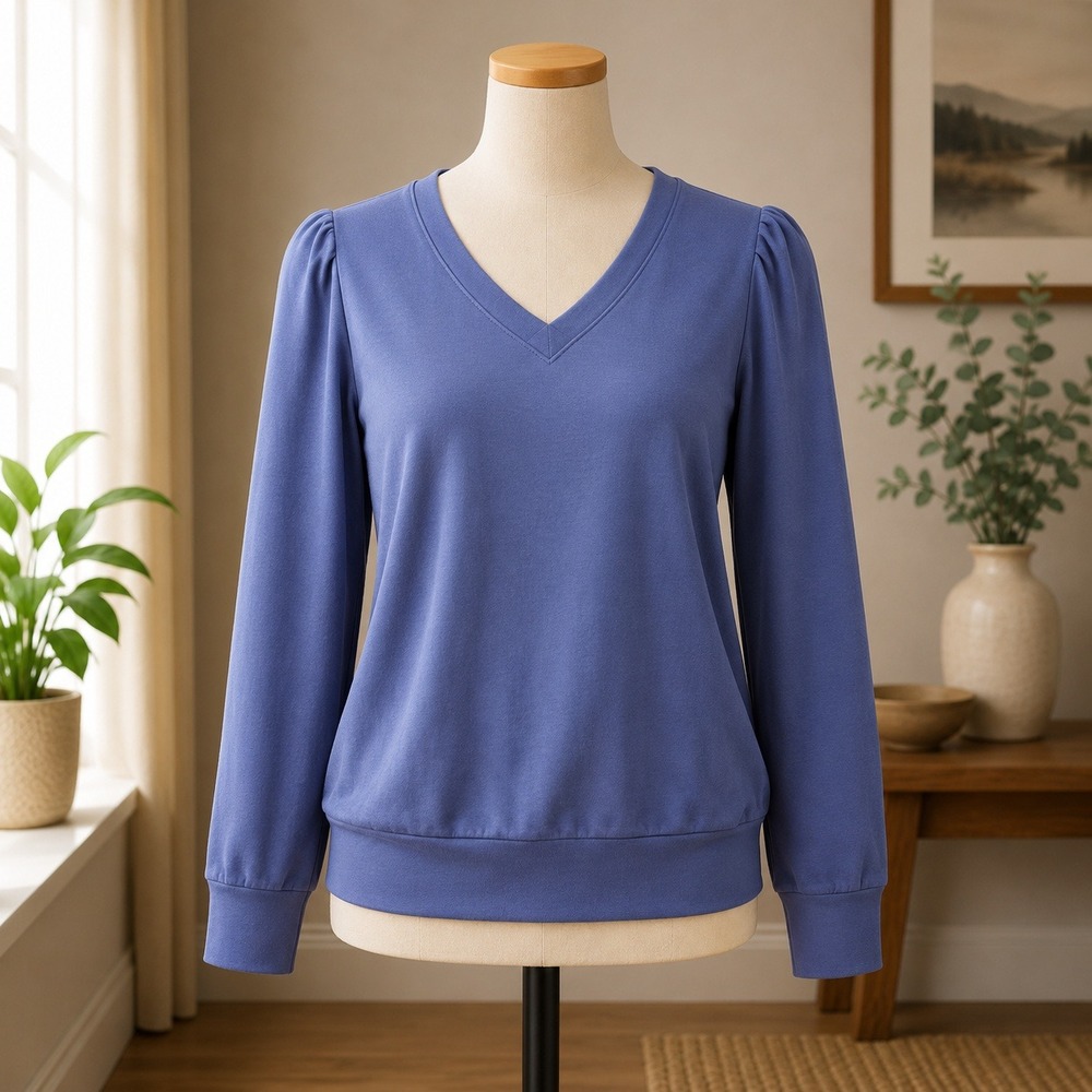 AnyBody V-Neck Sweatshirt Womens Small Blue Puff Shoulder Long Sleeve Top